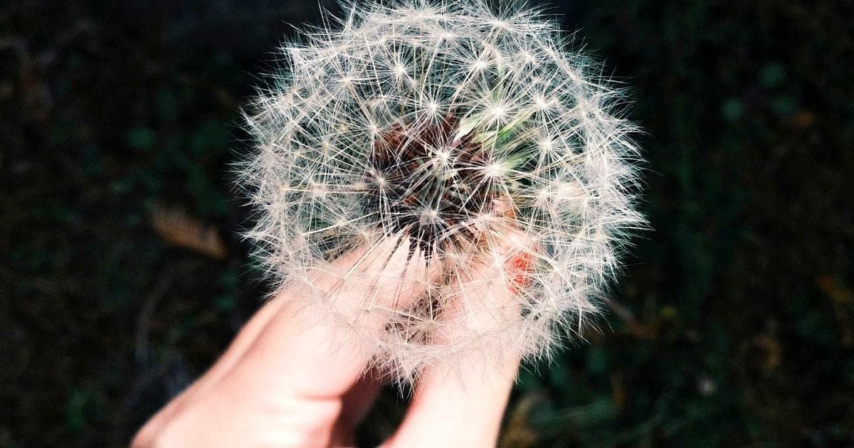 Mobile-First Design in 2026: Still the Right Default?